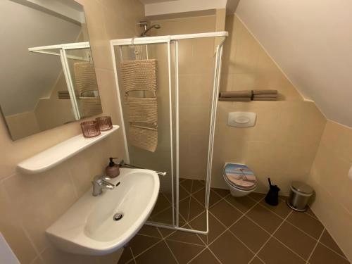 温特贝格谷景旅馆的一间带水槽和淋浴的小浴室