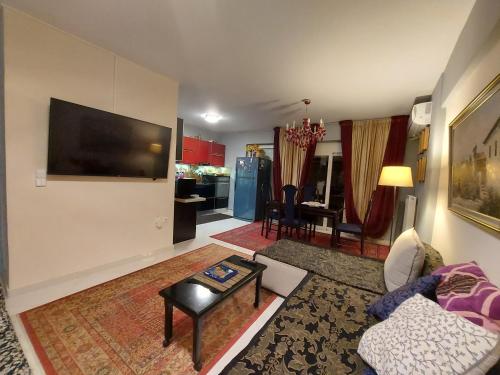 雅典One bedroom apartment new with large living room的客厅配有沙发和墙上的电视