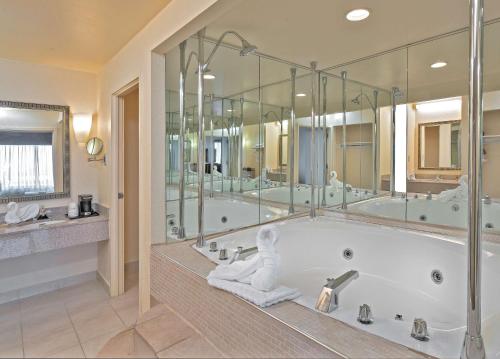 巴尔的摩贝斯特韦斯特普勒斯酒店&会议中心的带浴缸和大镜子的大浴室