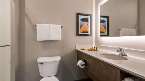 La CrescentBest Western Plus LaCrescent - LaCrosse的一间带卫生间、水槽和镜子的浴室