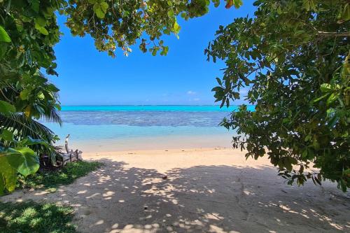 莫雷阿Villa Meheana的透过树架欣赏海滩美景