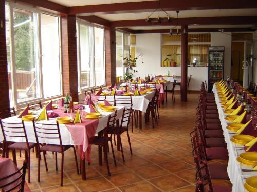 Pensiunea Nemes Panzio餐厅或其他用餐的地方