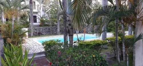 格兰贝伊Blue Sky Villa的一座种植了树木和植物的庭院内的游泳池