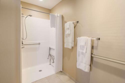 PulaskiJackson Park Inn, Ascend Hotel Collection的带淋浴、浴缸和毛巾的浴室