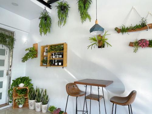 后里柚子民宿的桌子和椅子,用植物制成的白色墙壁