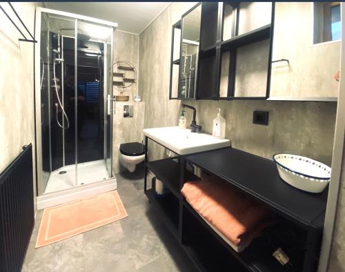 雷克雅未克Cosy Harbour Apartment的一间带水槽和淋浴的浴室