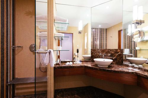 维也纳维也纳风格丽笙酒店的一间带两个盥洗盆和淋浴的浴室