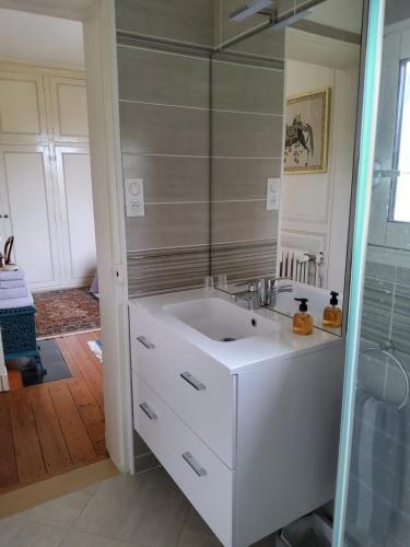 桑特La Maison des Thermes, Chambre d'hôte的浴室配有白色水槽和淋浴。