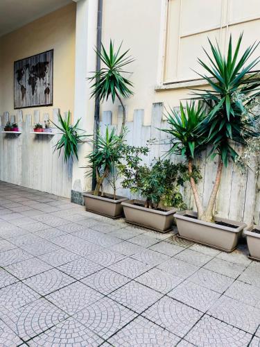 米兰Via Padova 165的建筑物边一排盆盆栽植物