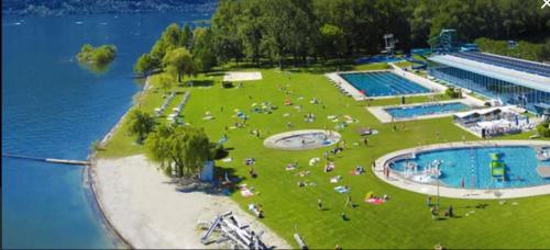 洛迦诺Barca a vela sul lago Maggiore的一群人坐在一个游泳池旁的草坪上