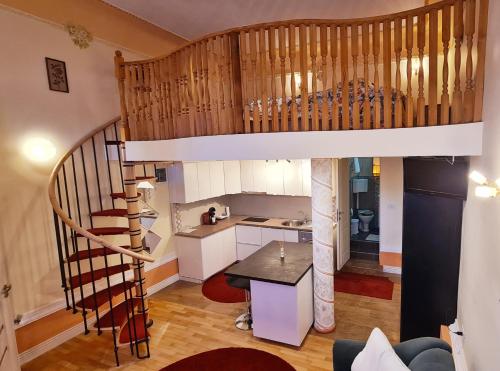 蒂米什瓦拉River Residence的房屋内的厨房,设有螺旋楼梯