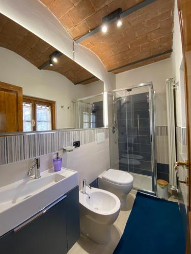 阿雷佐Le Casette di Viola的一间带水槽、卫生间和淋浴的浴室
