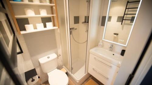 蒂涅Cosy - Appartement 2 personnes - Tignes le Lac - 415 - Le Palafour的带淋浴、卫生间和盥洗盆的浴室