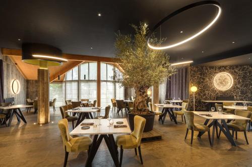 希勒尔Logis Hôtel Parenthèse, Restaurant & Spa的一间设有桌椅和一棵盆子的餐厅