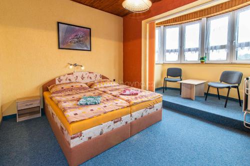 奥赫热河畔克拉什泰莱茨Pension ASTORIA的卧室配有一张床和一张桌子及椅子