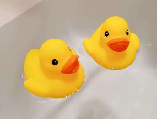 府中市Monthly Mansion Tokyo West 21 - Vacation STAY 10863的两个黄色橡皮鸭坐在浴缸里