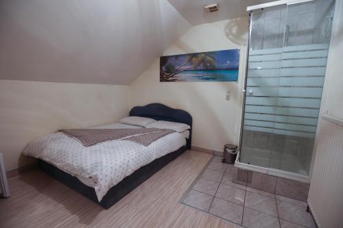 欧热霍瓦瓦斯Hostel - Rooms Kaj & Kaja的一间带一张床和淋浴的小卧室