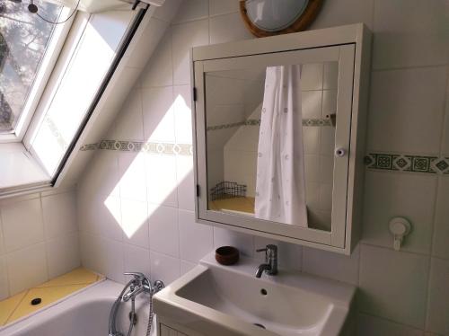 鲍洛通维拉戈什Sunhouse, Balatonvilágos的浴室配有盥洗盆、镜子和浴缸