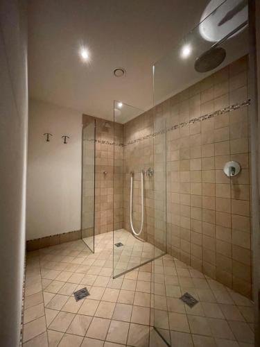 圣维吉利奥B&B Ciastel的带淋浴的浴室和玻璃门