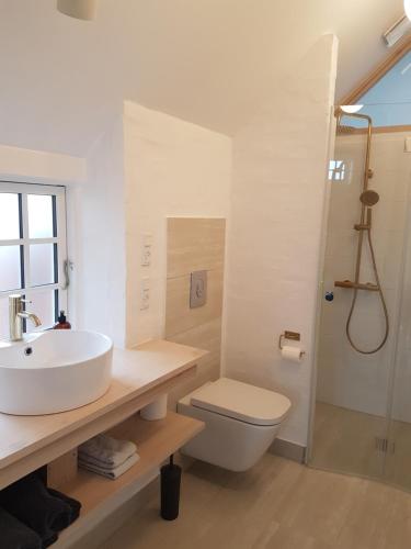 AggerFiskerhuset的一间带水槽、卫生间和淋浴的浴室