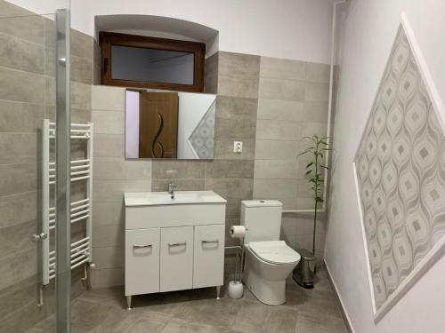 锡吉什瓦拉Vik. Apartment的一间带卫生间、水槽和镜子的浴室