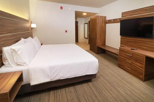 蒙特雷Holiday Inn Express - Monterrey - Fundidora, an IHG Hotel的配有一张床和一台平面电视的酒店客房