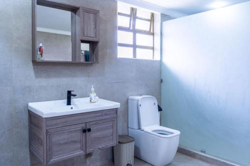 奈瓦沙Alphas Homestay的一间带卫生间、水槽和镜子的浴室