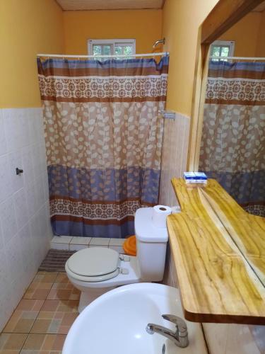 圣卡塔利娜岛Hotel Brisa Mar的一间带卫生间和水槽的浴室