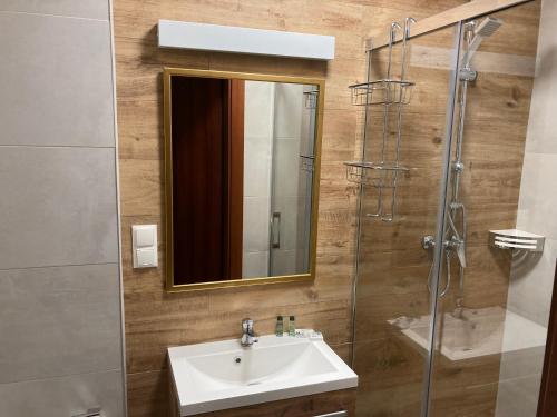 拉达瓦Leśna Polana的浴室配有盥洗盆和带镜子的淋浴