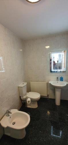 普里茅斯Garden Room的一间带卫生间和水槽的浴室
