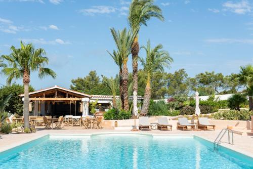 卡拉瓦德亚Petunia Ibiza, a Beaumier hotel的一个带椅子和桌子的游泳池,并种植了棕榈树