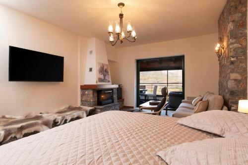 帕雷斯阿吉萨那VORAS 180° VIEW的一间卧室配有一张床、一个壁炉和一台电视。