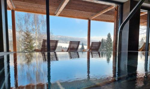 Amenity Hotel & Resort Orlické hory内部或周边的泳池