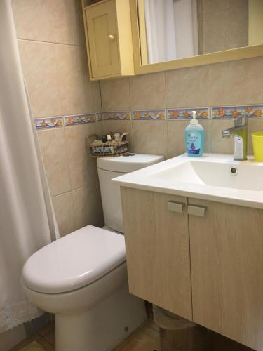 维纳德马Frente a Playa - 3 dorms, 2 baños, parking, WiFi, 2 cuadras MALLS的一间带卫生间和水槽的浴室