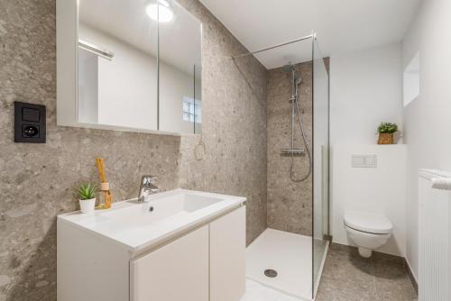 根特Cosy, furnished & renovated flat with outside lounge的浴室配有白色水槽和卫生间。
