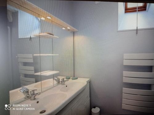 拉布尔布勒Agréable T2 avec petite cour privative的一间带水槽和镜子的浴室