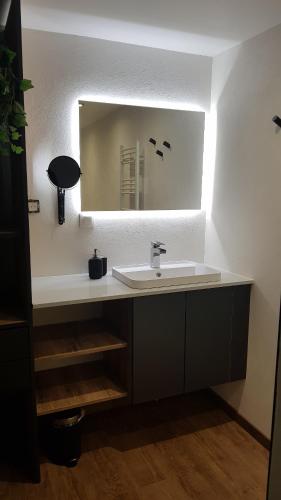 希伯维列Lovely Green Lodge parking GRATUIT的一间带水槽和镜子的浴室