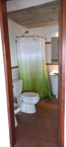德尔迪阿布罗角安科拉酒店的浴室设有卫生间和绿色淋浴帘。