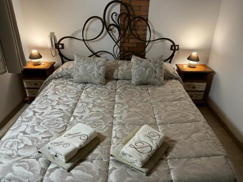 维罗纳NICOLE DONEY LOCAZIONE TURISTICA的一张大床,上面有两个枕头