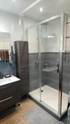 莫雷兹Apart'Bellevue的带淋浴和盥洗盆的浴室