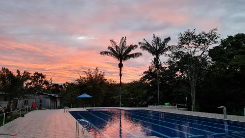基布多Entreselvas Glamping的棕榈树和日落的游泳池
