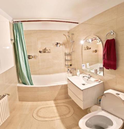 克卢日-纳波卡Apartament 2 camere cu loc de parcare的带浴缸、卫生间和盥洗盆的浴室