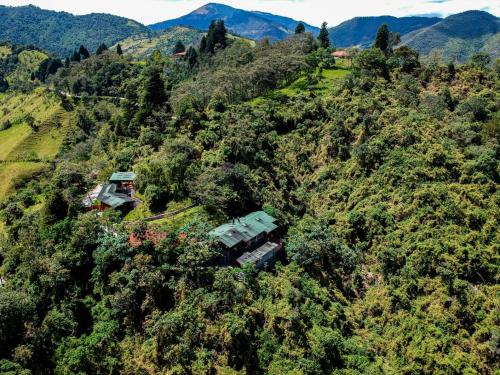 明多Finca Petrona的树木茂密的山丘上房屋的空中景观