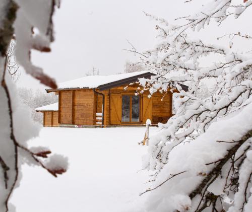 普卢日内Vikendice Gornja Brezna - Mountain cabin Gornja Brezna的雪中小屋,有雪覆盖的树木