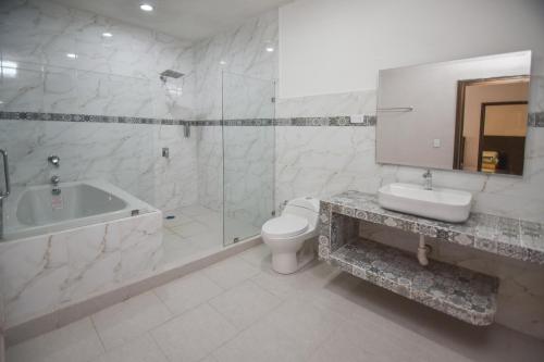 多洛雷斯-伊达尔戈HOTEL MI HERMOSO DOLORES的带浴缸、卫生间和盥洗盆的浴室
