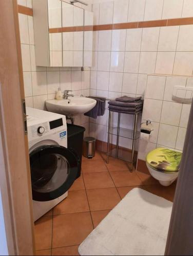 诺伊斯塔特-格莱韦Ferienwohnung的一间带洗衣机和水槽的浴室