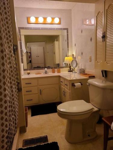 奥扎克Cozy, Cute, Private Ozark Suite 5 Mins to Hospital的一间带卫生间、水槽和镜子的浴室