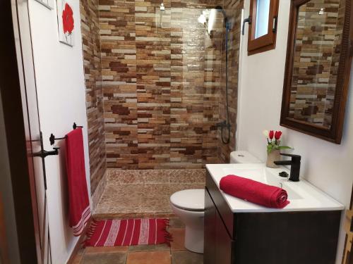 圣巴托洛梅La Almendra的一间带水槽、卫生间和淋浴的浴室