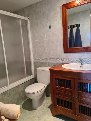 塞尔勒tuhogarencerler,sol y vistas的一间带卫生间、水槽和镜子的浴室
