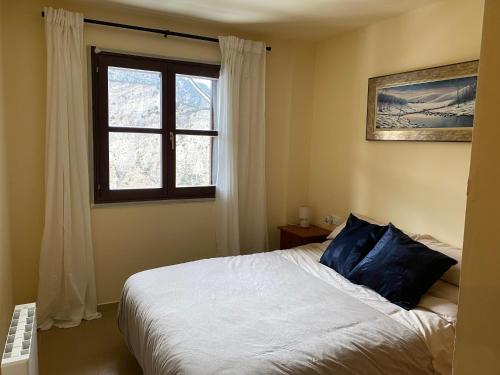 埃斯波特Roxy House - Apartamento a pie de pistas de Espot的一间卧室配有一张带蓝色枕头的床和一扇窗户。